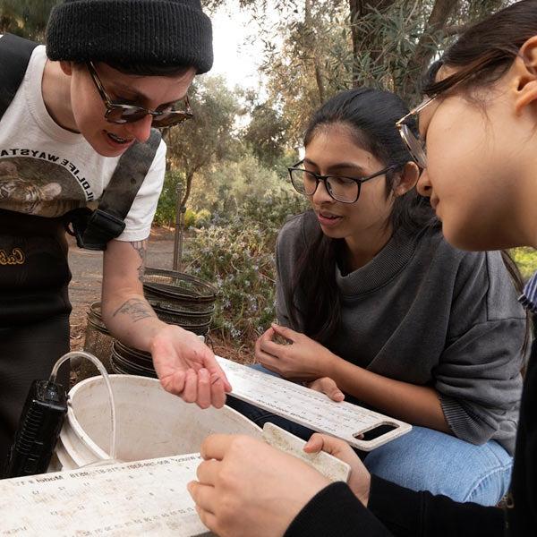 Three students gather in the UC Davis arboretum to examine water samples