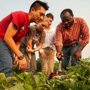 Students and professor gather around an ag patch