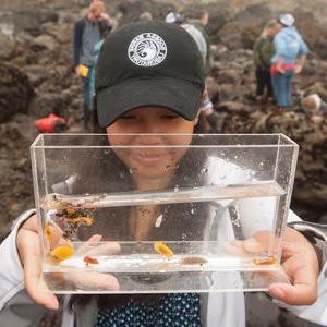 A female student investigates specimens from a tide pool