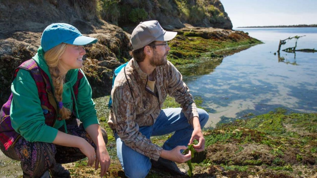 student and professor conducting research at the Bodega Bay Marine Lab