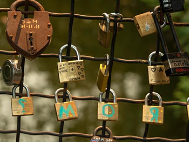 love-locks on the bridge over the Waterway in the UC Davis Arboretum