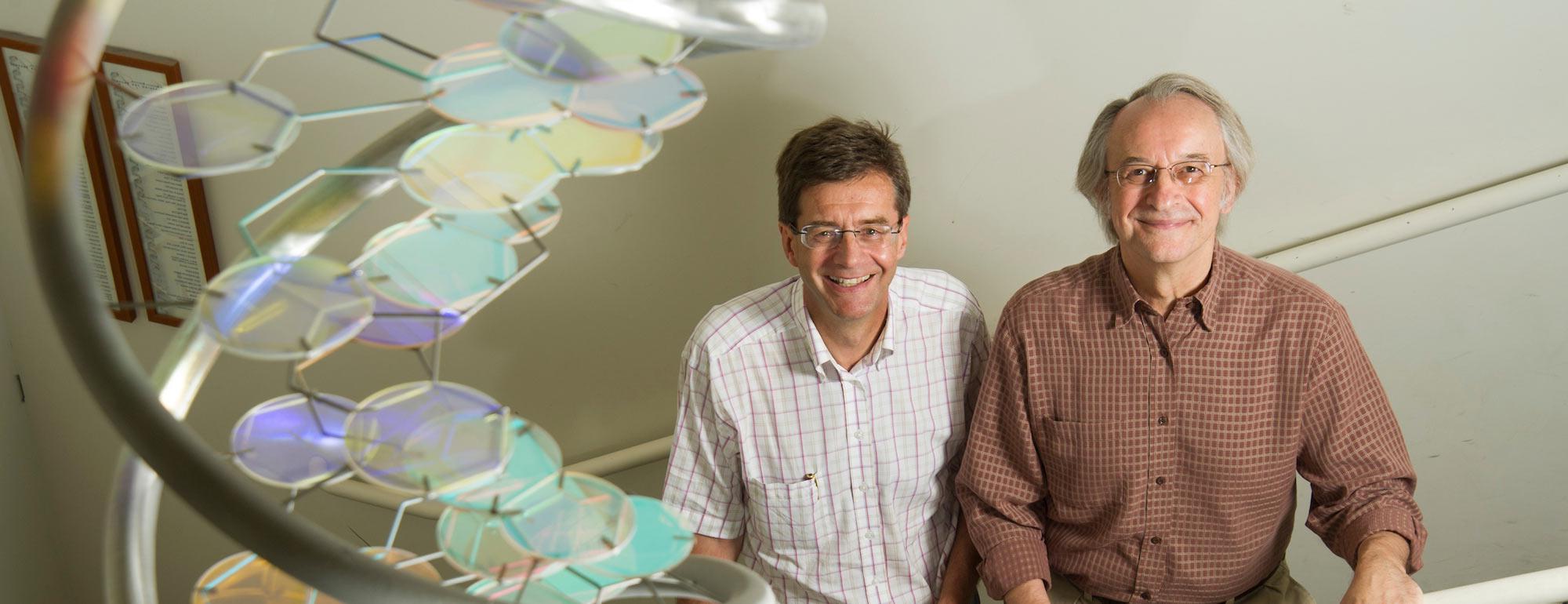 Two UC Davis proffessors pose next to a large DNA model in the UC Davis Life Sciences building