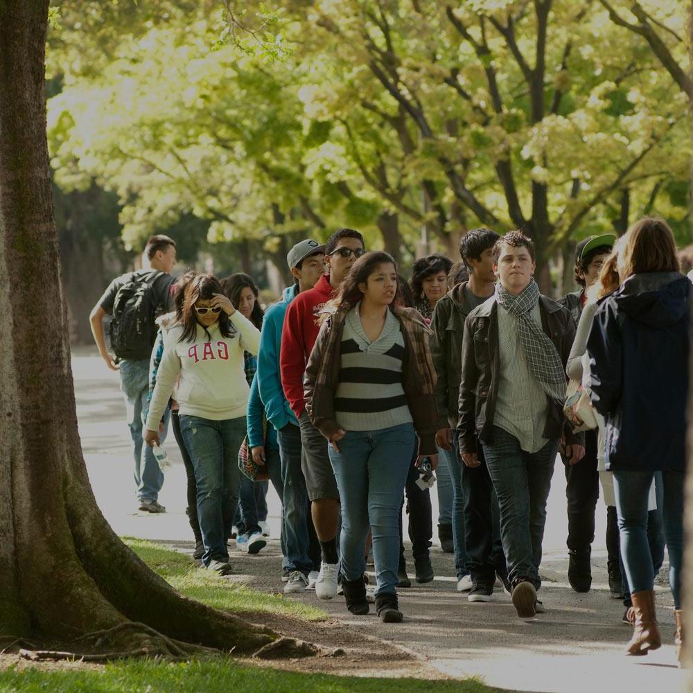 A UC Davis student tour guide leads a large group through campus